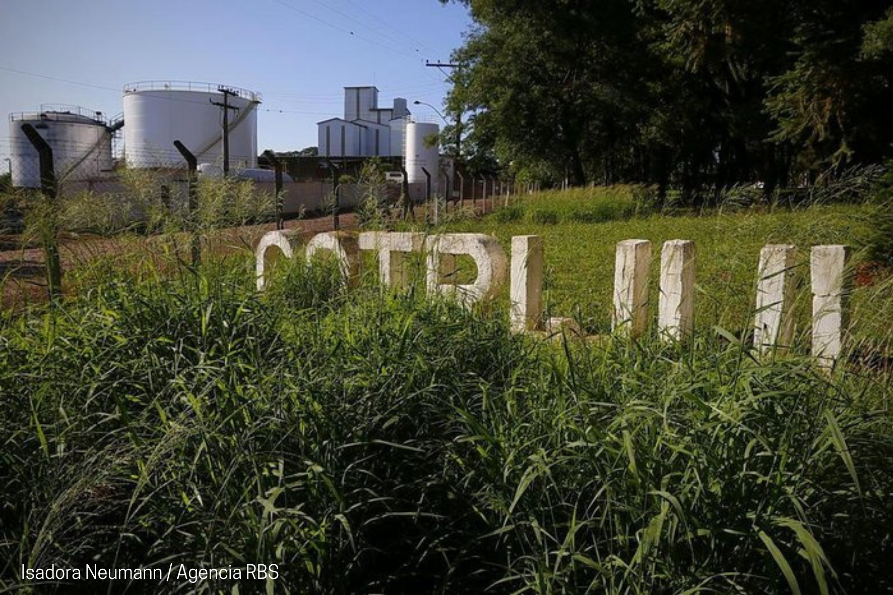 Cotrijui dá início à venda de grãos depositados na cooperativa